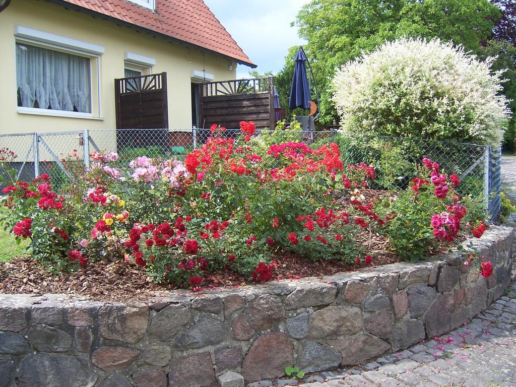 Haus Am Roseneck Hotel Luneburg Exterior photo